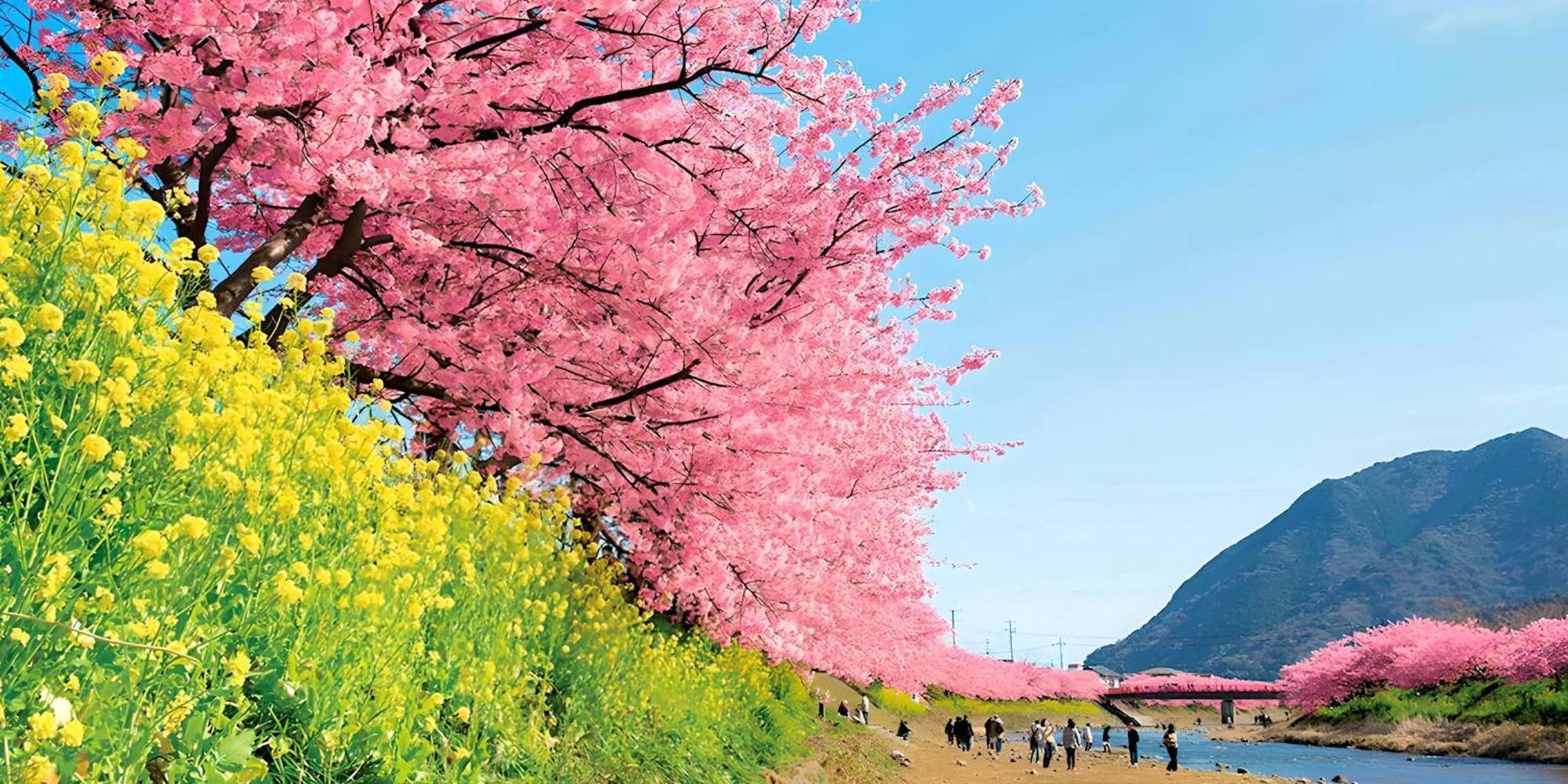 Hotel Kan-Ichi Atami  Exteriér fotografie